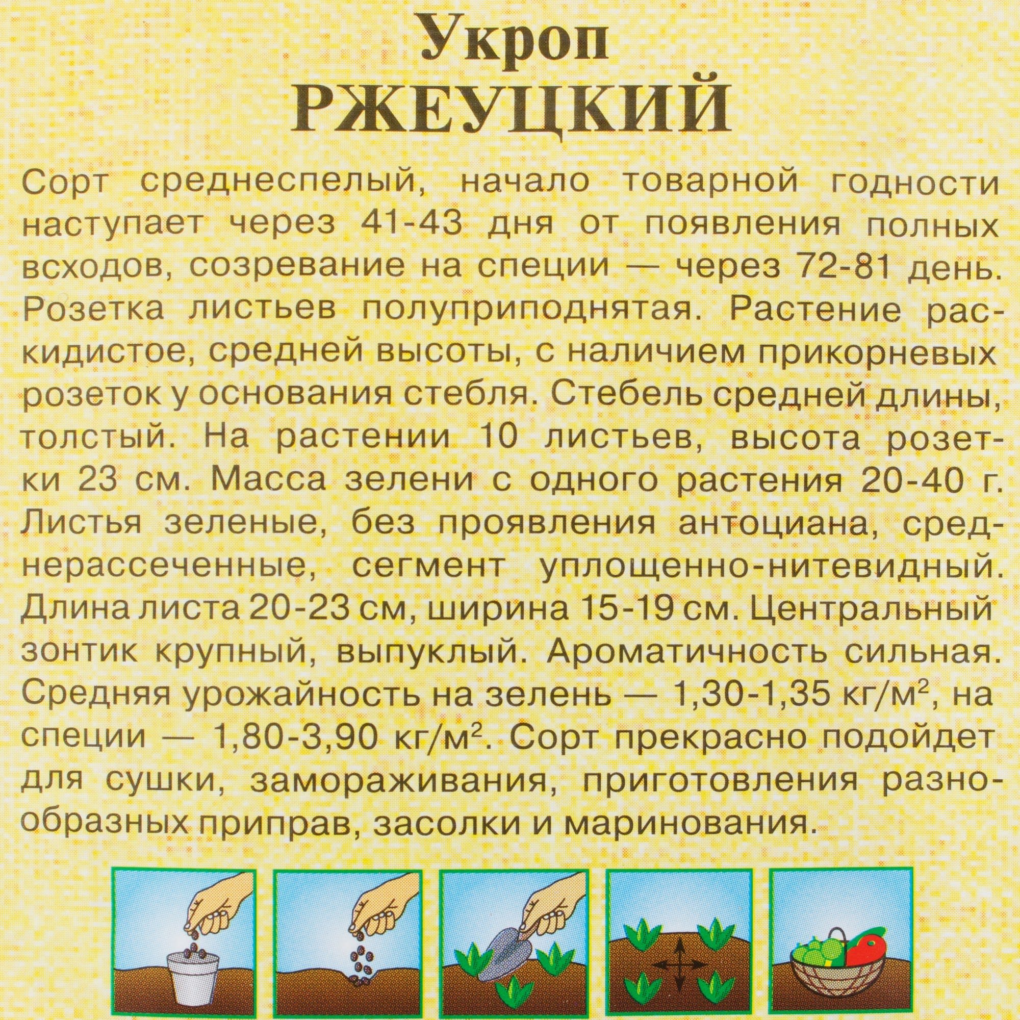 81933334 Семена Укроп «Ржеуцкий» 2 г Santreyd  - Вид №2