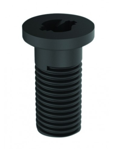 025900 000 00  Винт для центрального крепления слива под раковину черный, 2 шт. Valentin Чернить  - Вид №1