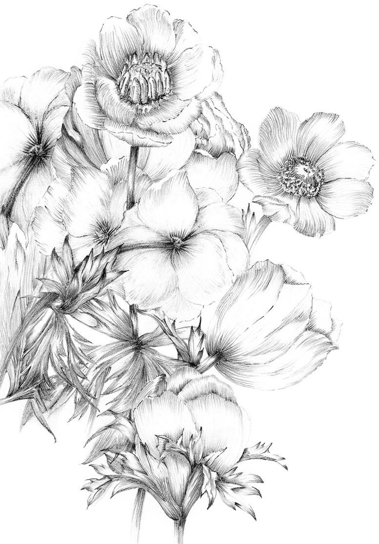 Komar Флизелиновые обои с цветочными мотивами Home Xxl2-1035 - Вид №1