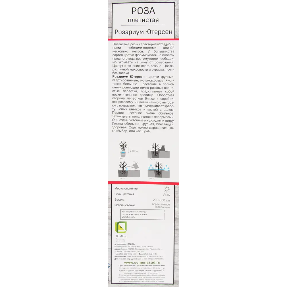 Розы плетистые «Розариум Ютерсен» 18350519 STLM-2194123 Santreyd  - Вид №1
