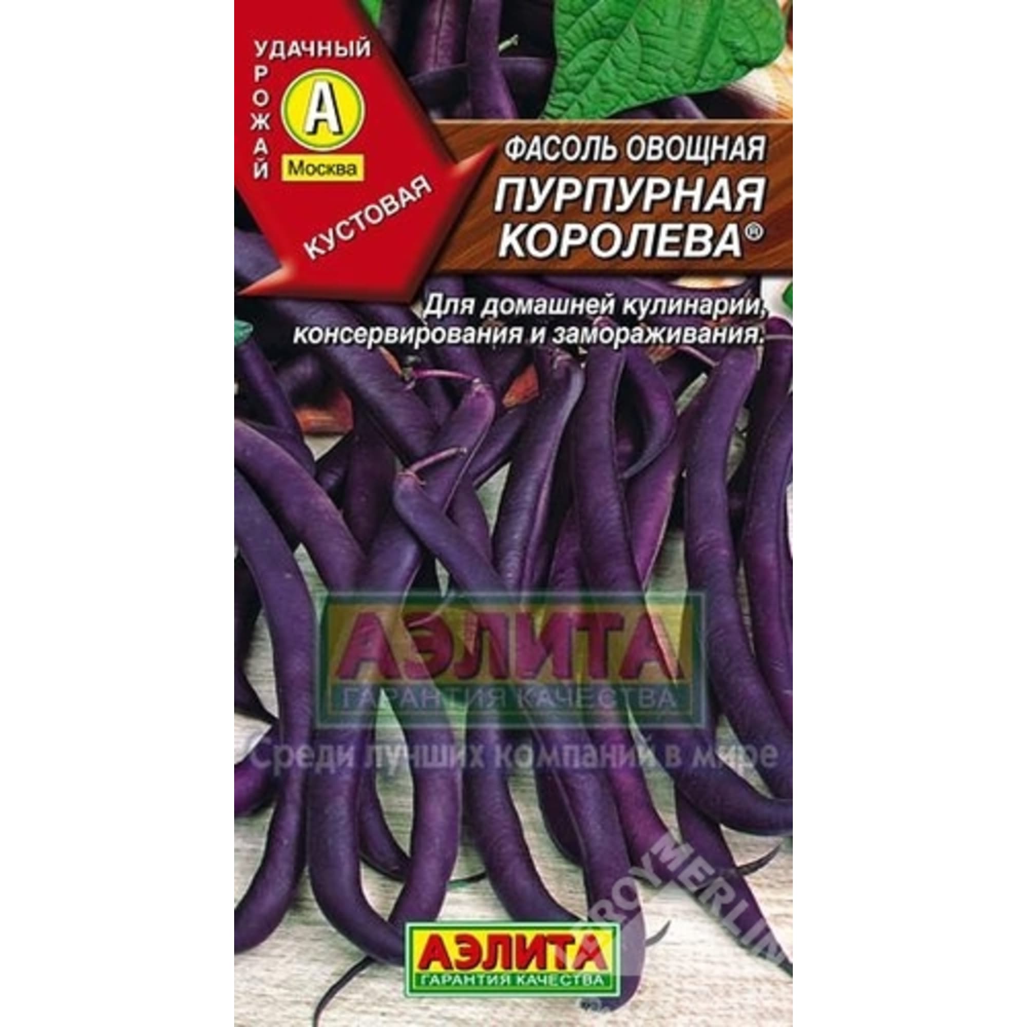 13885215 Фасоль «Пурпурная королева» Santreyd 