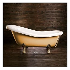 Ванна Akcjum Rectime 170 WR-02-05-BR-B овальная бежевая с золотыми ножками