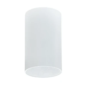 Светильник точечный светодиодный накладной 1 м² нейтральный белый свет цвет белый матовый