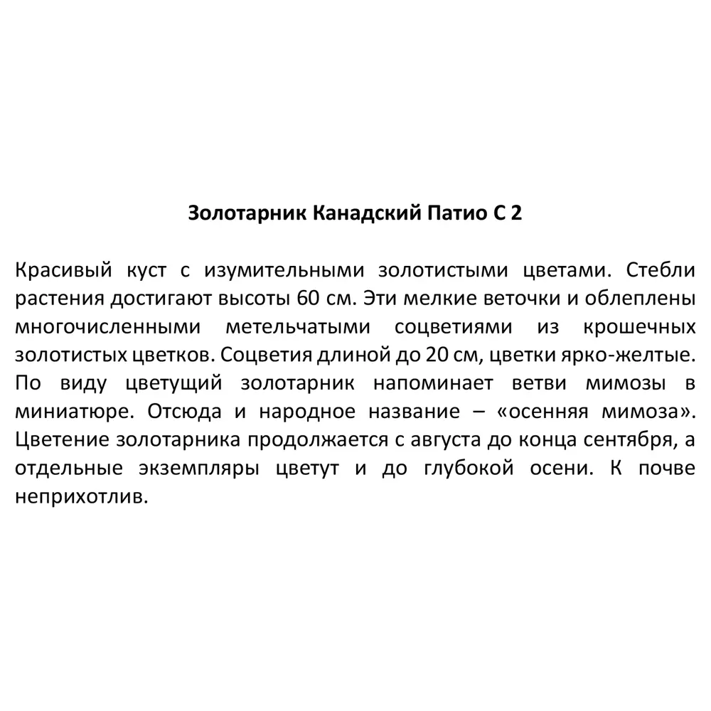 Золотарник канадский Патио ø17 h30 см 85324907 STLM-2002218 Santreyd  - Вид №3