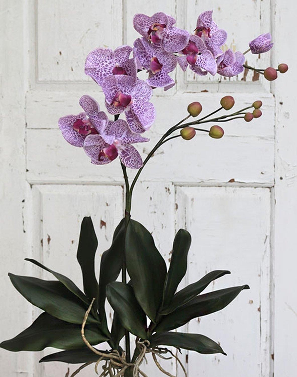 2831 227 a3 Пластиковая орхидея Phalaenopsis, 105 см, real touch, светло-фиолетовый-темно-фиолетовый H-andreas 