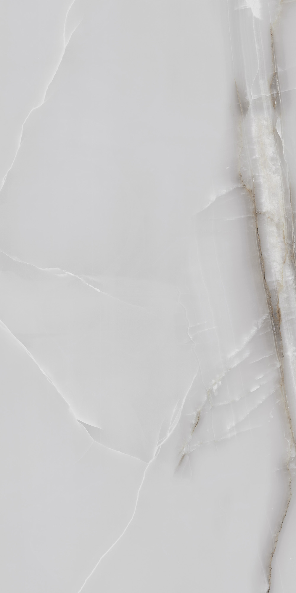 ONYX LINE GREY — Керамогранит с душой природы FP1025-A Arcadia Ceramica - Вид №8