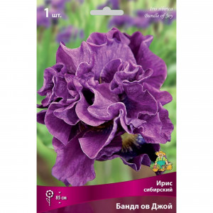 83597275 Ирис сибирский Бандл Ов Джой луковица I