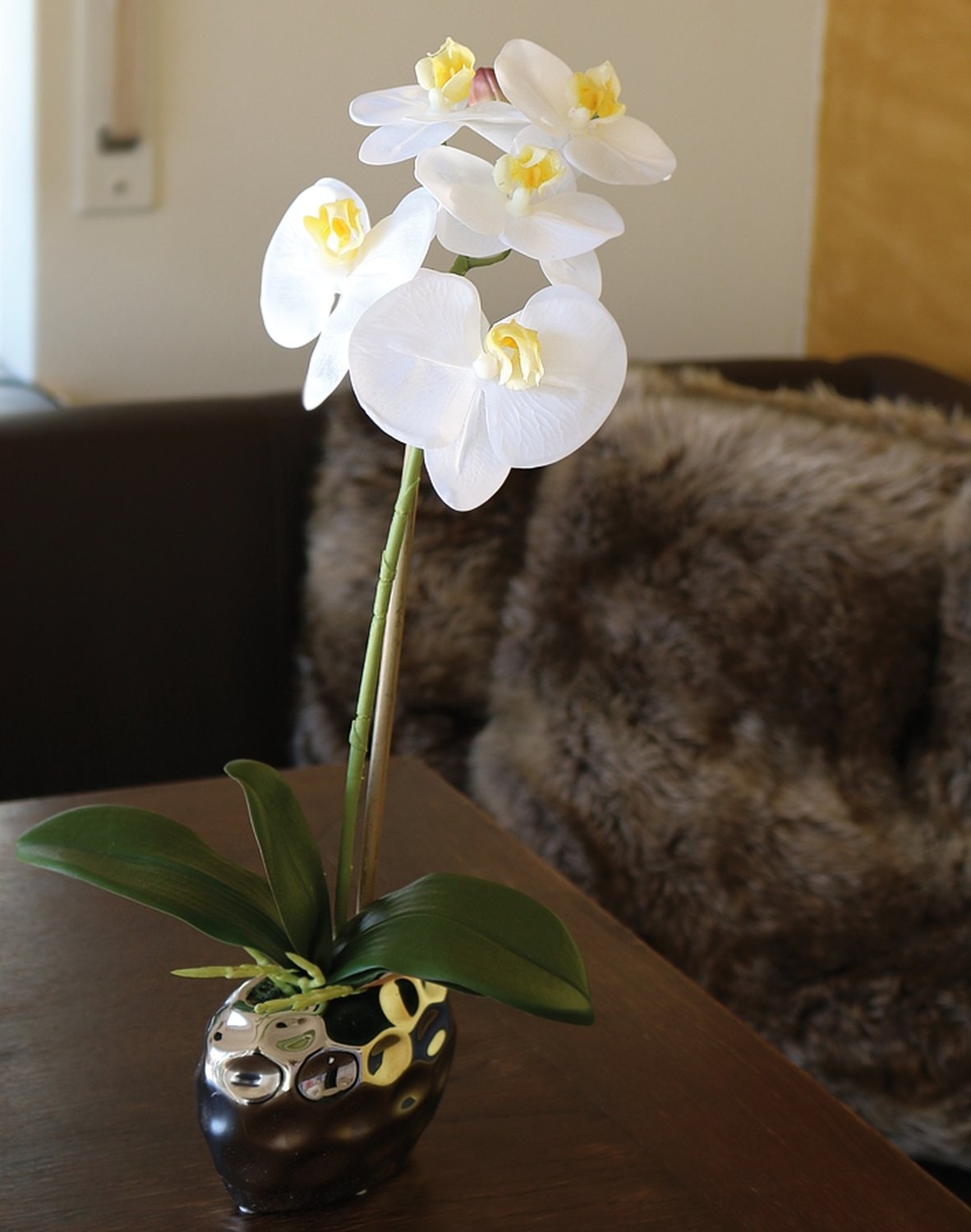 2596 778 a3 Пластиковая орхидея Phalaenopsis, горшечная, 43 см, real touch soft, бежево-белая H-andreas  - Вид №4