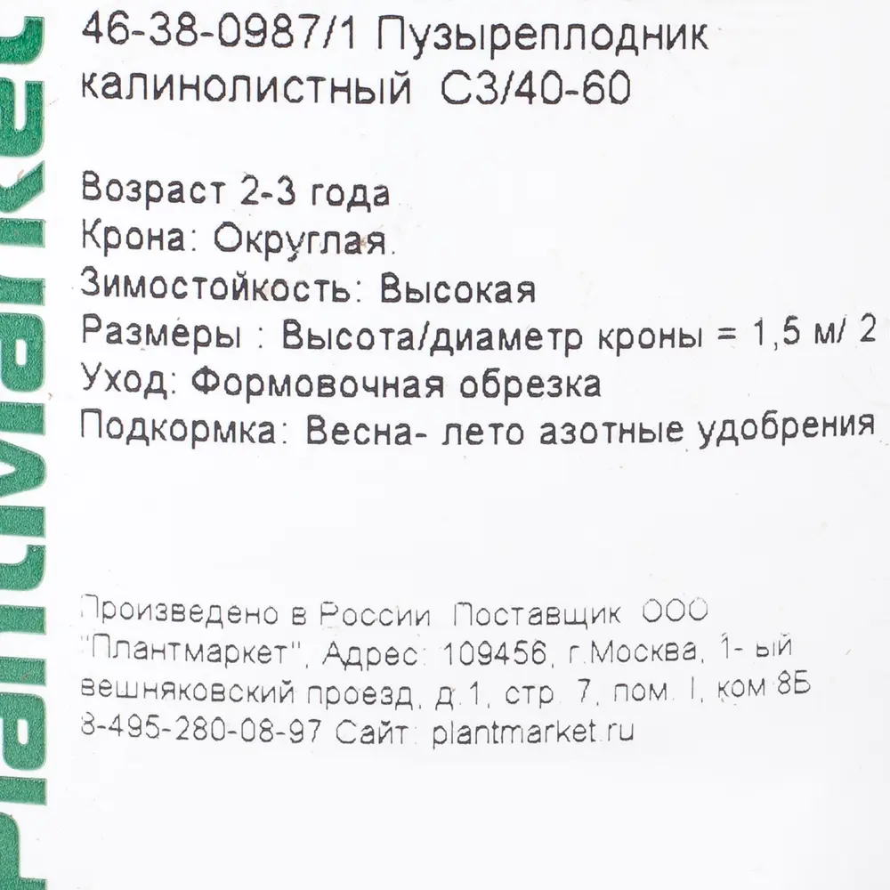 Пузыреплодник калинолистный, С3/40-60 см 18468621 STLM-2164082 Santreyd  - Вид №2