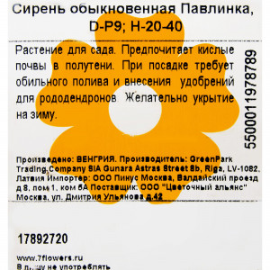 17892720 Сирень обыкновенная Павлинка P9