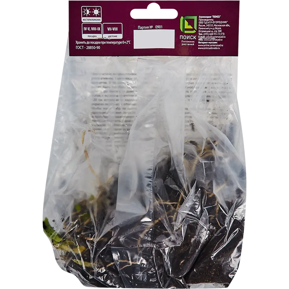 Хоста Брим Кап от Santreyd - многолетник с кремовой каймой 82319594 STLM-0962856 - Вид №1