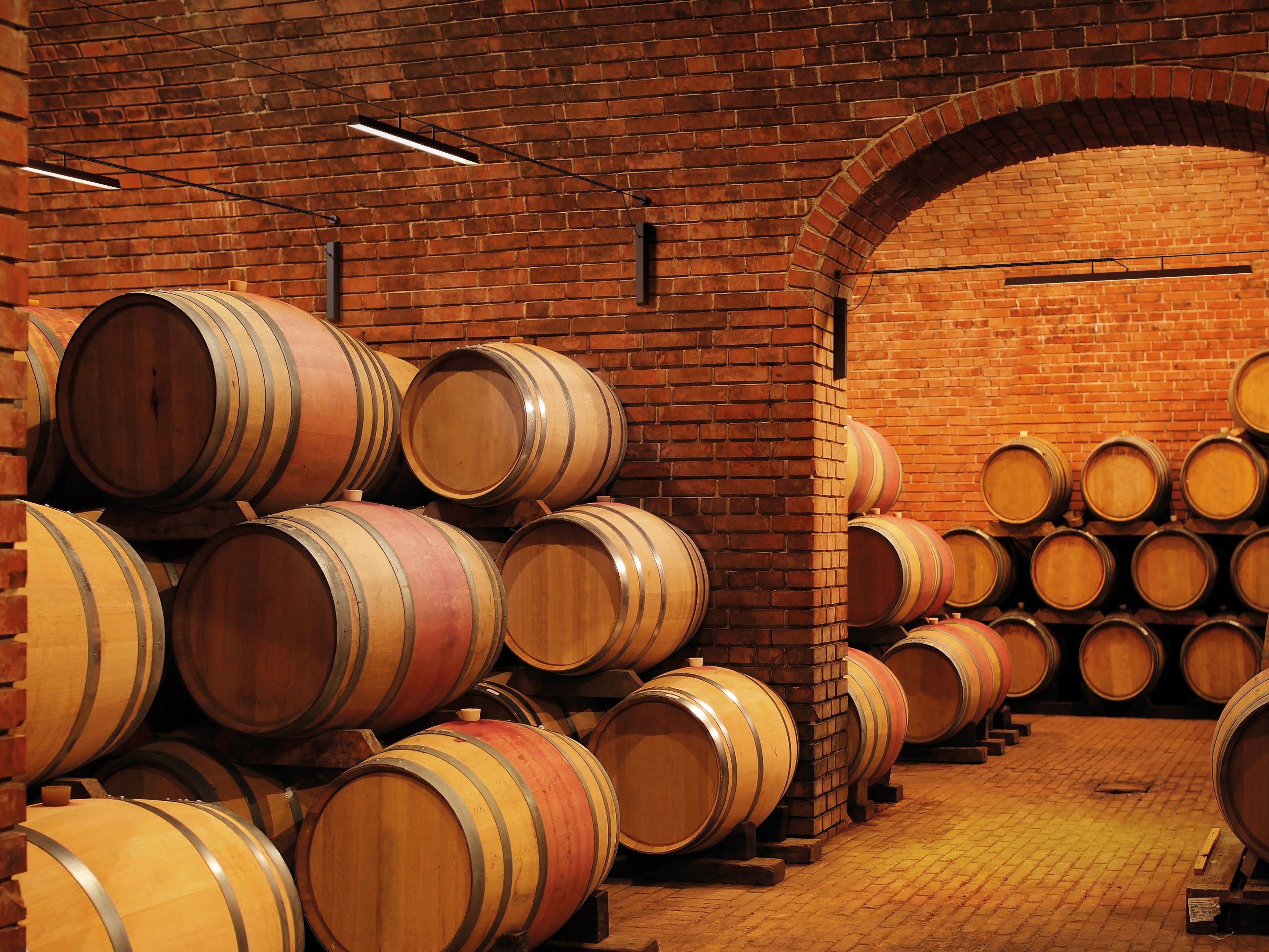 Светодиодный подвесной светильник из нержавеющей стали Linea Light Group Лира ARCH-00114741 - Вид №2