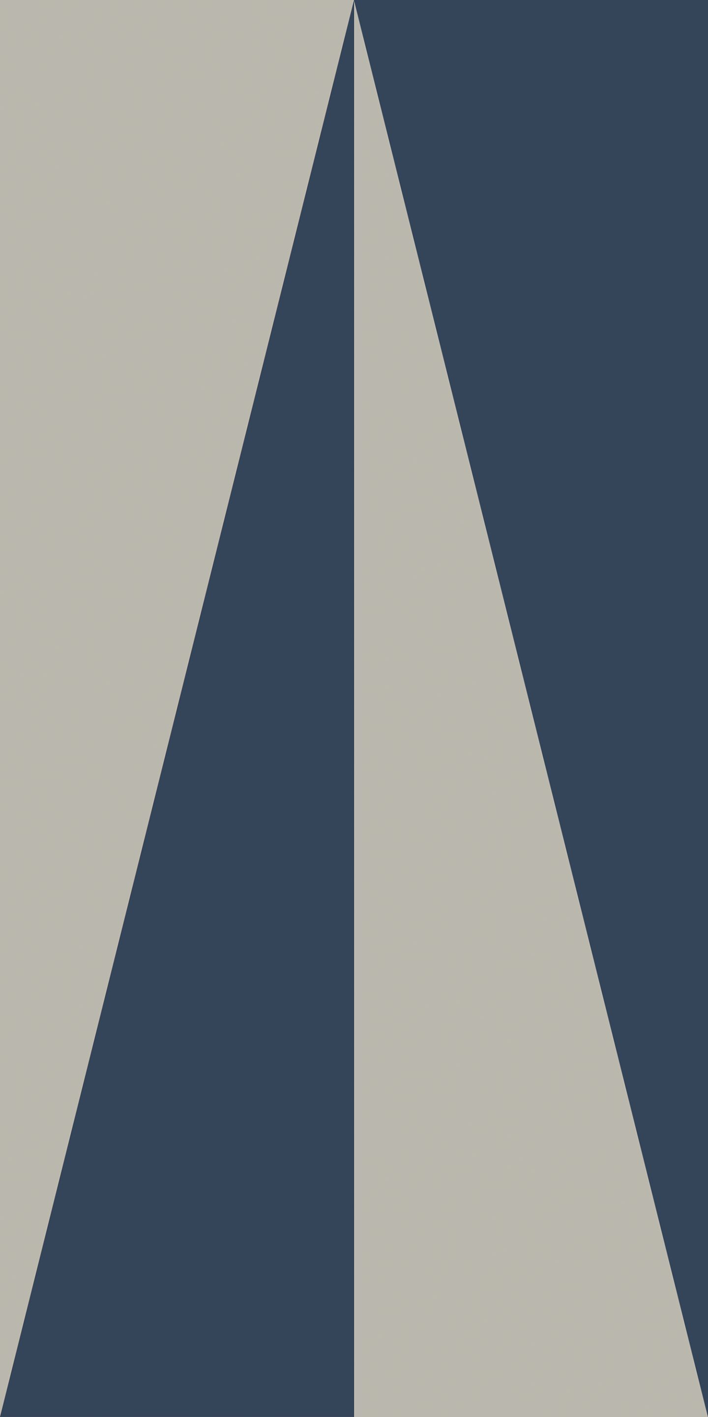 Декоративная панель Inkiostro Bianco Травелог ARCH-00095331 - Вид №4