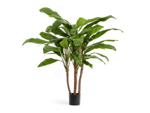 10.1006N Кордилина зелёная крупнолистная на стволах Цветочная коллекция