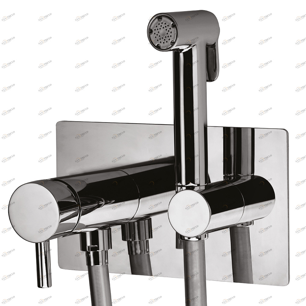 Graffio Встраиваемый смеситель с латунной опорой и прямоугольной тарелкой 190 × 110 мм, латунный круглый кнопочный гигиенический душ STELLA, гибкий шланг SILVER 120 см. SH811 