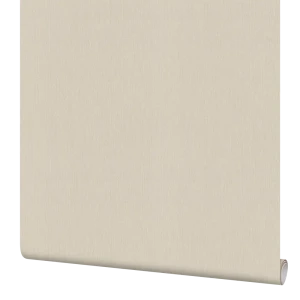 Обои флизелиновые Rasch Barbara home collection xl бежевые 1.06 м 800524 83275283 STLM-2106847