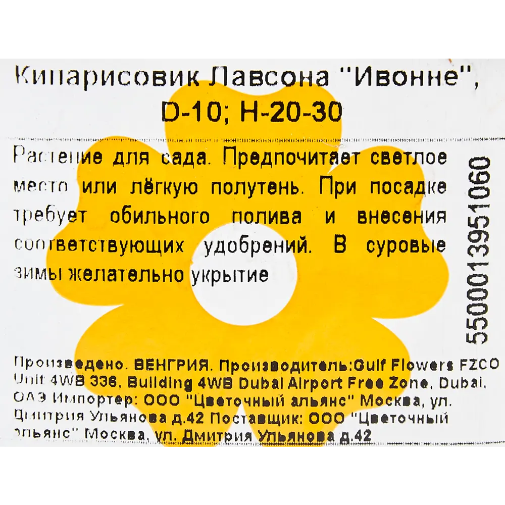 Кипарисовик Лавсона «Ивонне» 13x25 см 82601627 STLM-2050801 Santreyd  - Вид №1