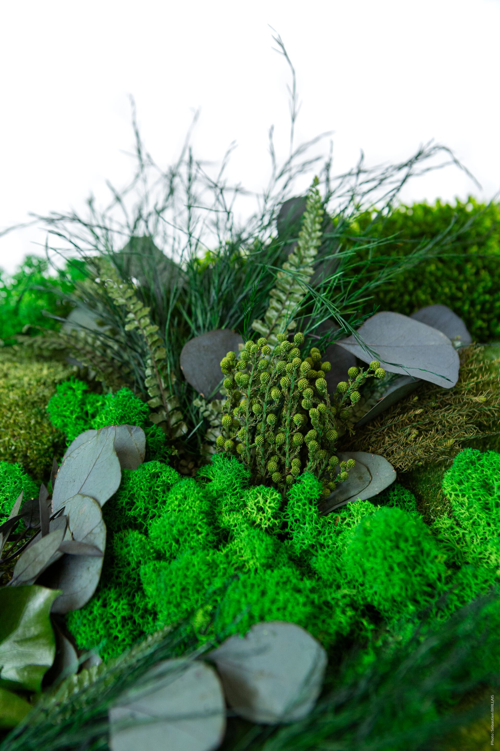 Растительная картина в лишайниках Tecsound PureKustik ARCH-00093539 - Вид №9