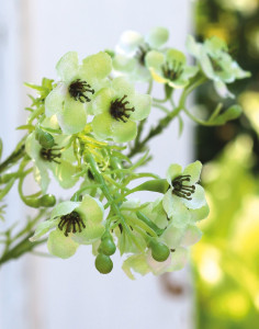 2021 788 a3 Растение из искусственного воска, 65 см, бежево-зеленое H-andreas