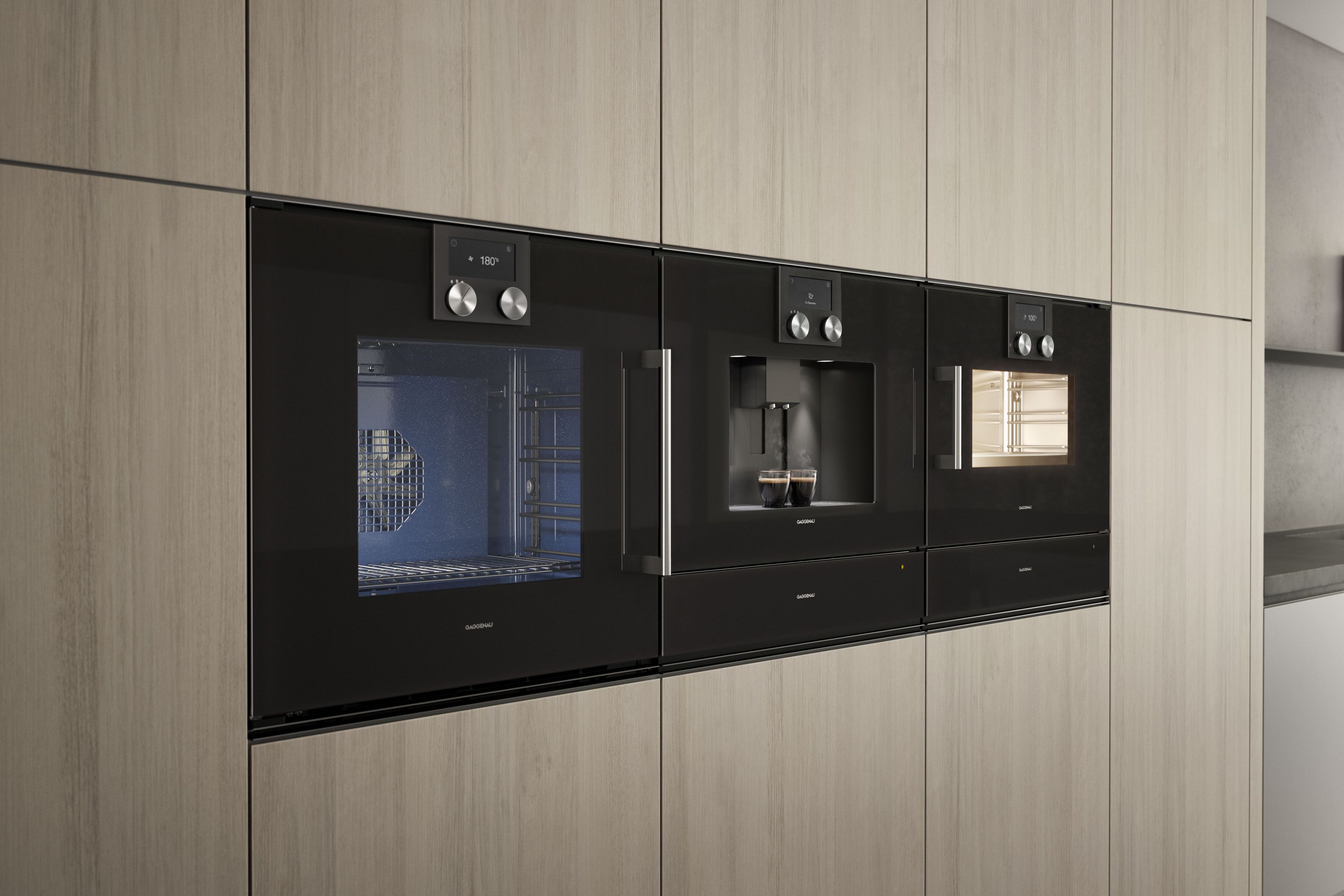 Встраиваемая комбинированная печь класса А GAGGENAU серия 200 ARCH-00082890 - Вид №2