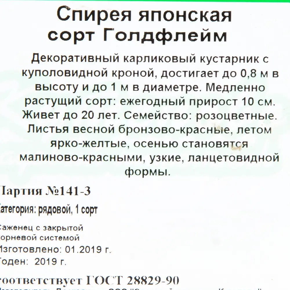 Спирея бумальда С2 «Голдфлейм» h30 81954841 STLM-2076124 Santreyd  - Вид №1