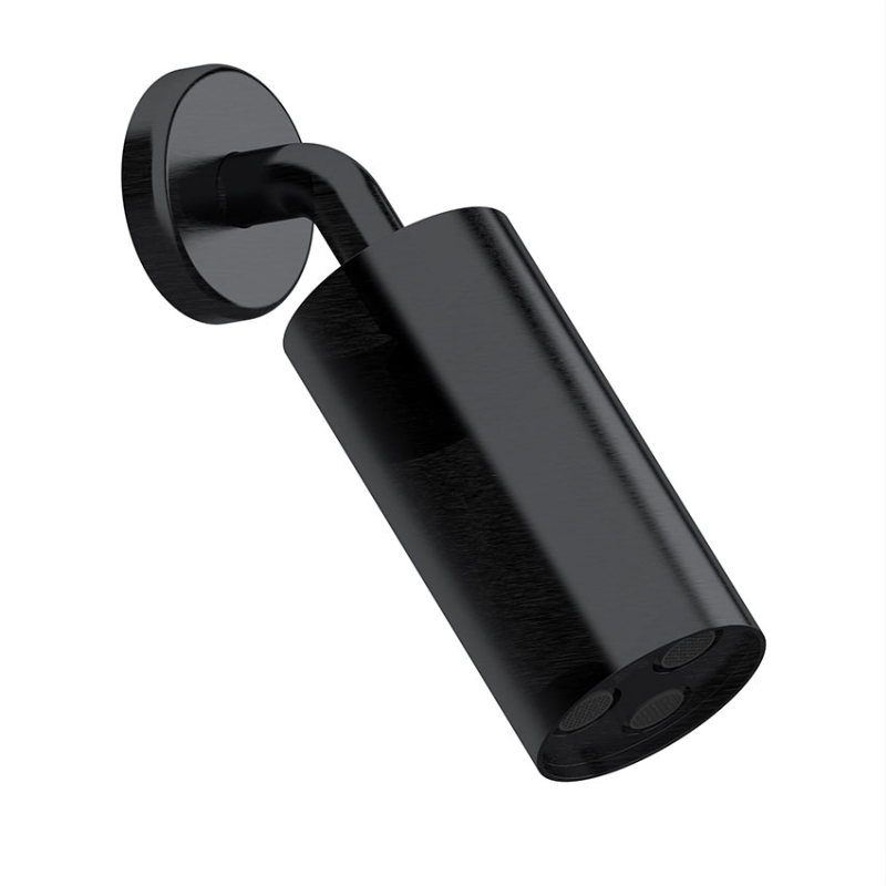 SSA578LP Настенная душевая лейка DANIEL RUBINETTERIE Wellness - Вид №1