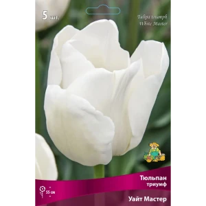 Тюльпан Триумф «Уайт Мастер» размер луковицы 12, 5 шт. 82662947 STLM-2184388