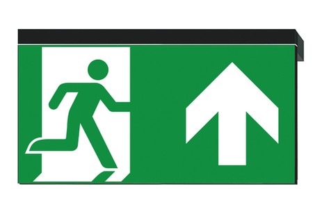 DST-1519 Ikus 320-p Daisalux Светильники сигнальные Черный 