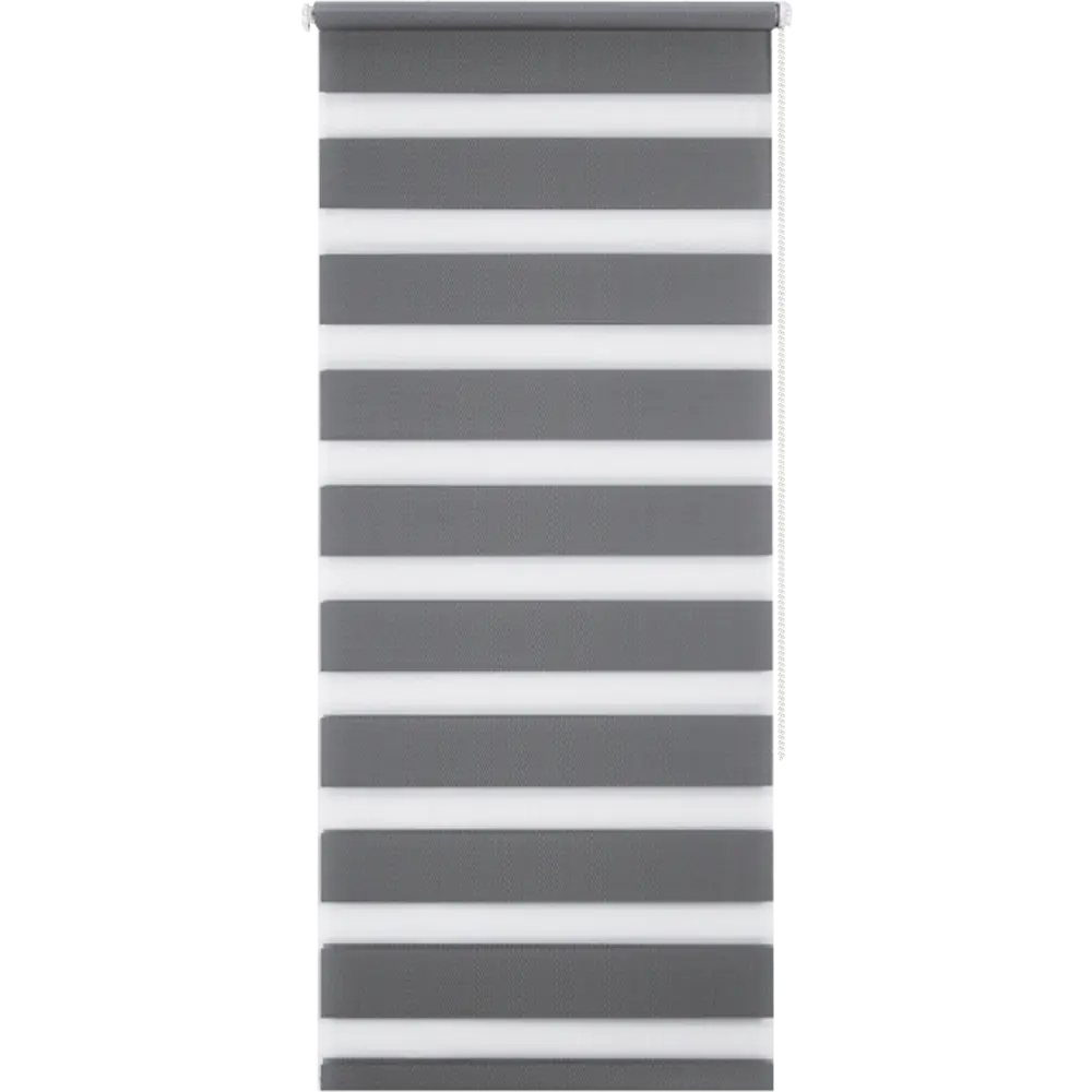 Штора рулонная день-ночь Silver 60x160 см серая Santreyd Д/Н SILVER STLM-2077727