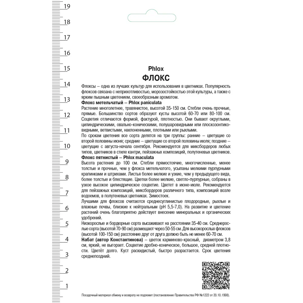 Флокс метельчатый «Набат» 17981212 STLM-2185902 Santreyd  - Вид №1