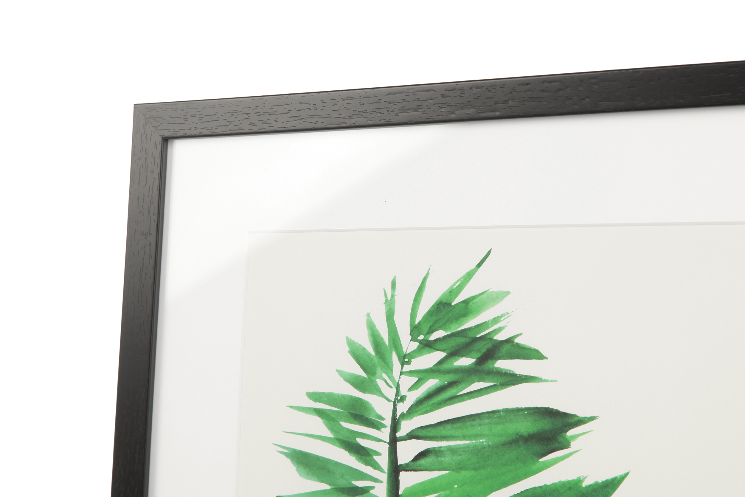 2000983161512 Постер Palm 1 COSMO RED  - Вид №2