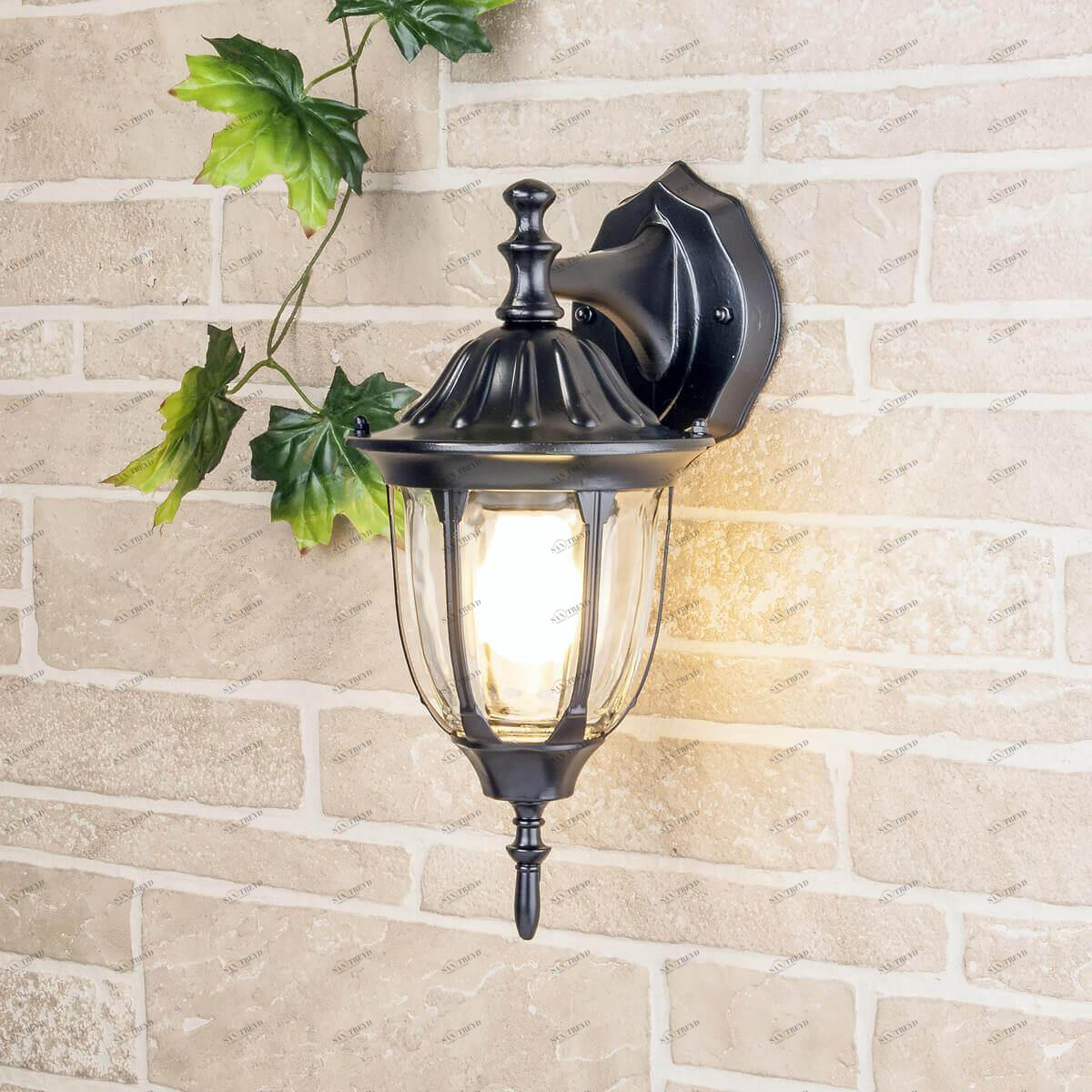 Уличный настенный светильник с прозрачным плафоном черный Elektrostandard 4690389076077 ELEKTROSTANDARD 1002 00-3897428 Прозрачный;черный 