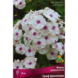 Флокс метельчатый Граф Цеппелин от Santreyd - белый с красным глазком 88294963