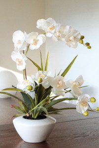 2768 778 a3 Пластиковая орхидея Phalaenopsis с суккулентами, горшечная, 55 см, бежево-белая H-andreas