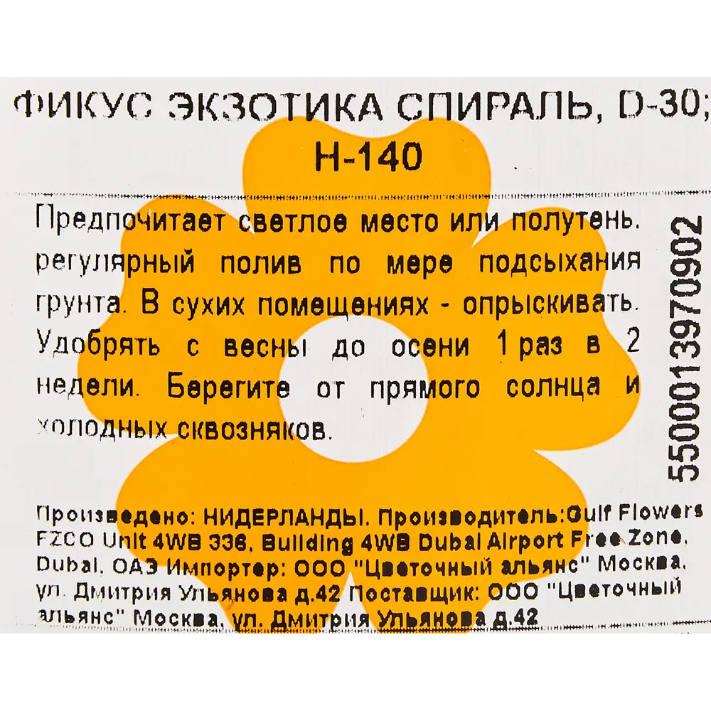 Фикус "Экзотика спираль" 30x140 см 82850348 STLM-2172628 Santreyd  - Вид №2