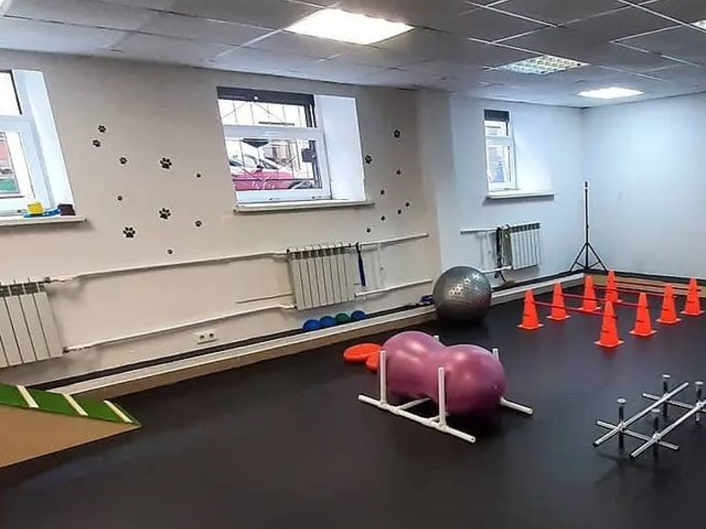 10.5.850B Рулонное резиновое покрытие Alegria Black  - Вид №5