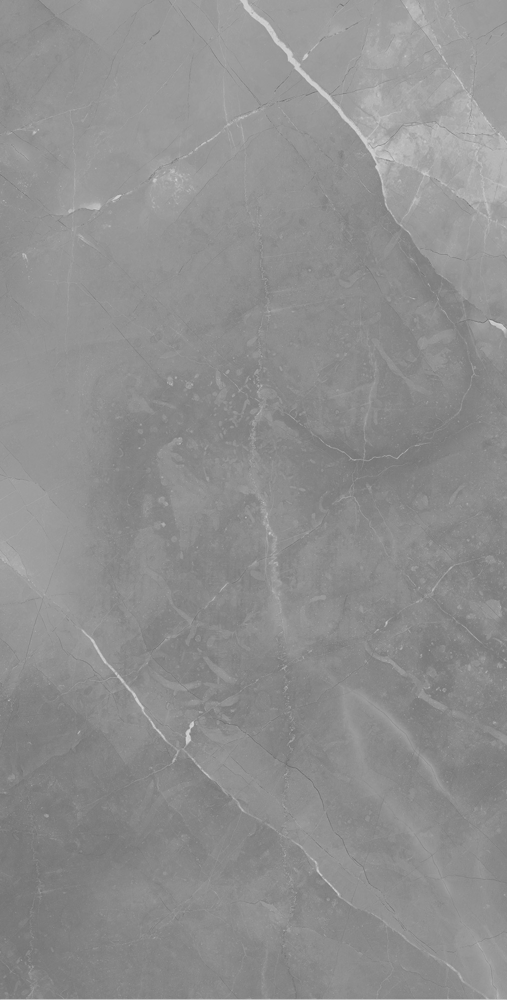 CERASA GREY: Элегантность камня в вашем интерьере RT7014-A Arcadia Ceramica - Вид №4