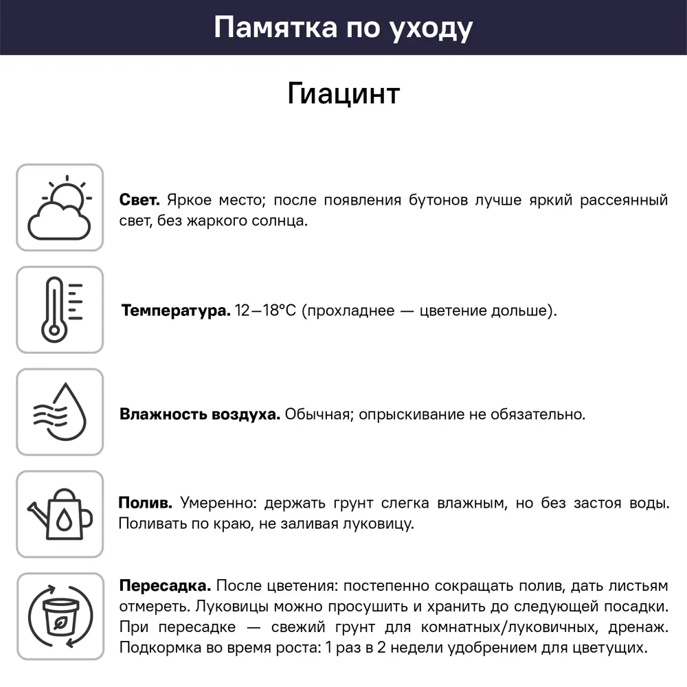 Гиацинт микс ø7 см 89389176 STLM-2045933 Santreyd  - Вид №1