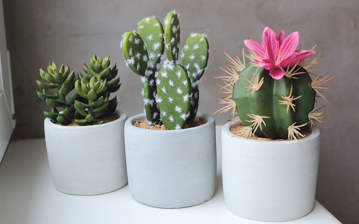 6068 883 a3 Пластиковые суккуленты-микс, в горшках, 3 шт., 10/14/17 см, зеленые H-andreas  - Вид №5