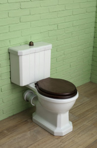 Керамический цельный туалет