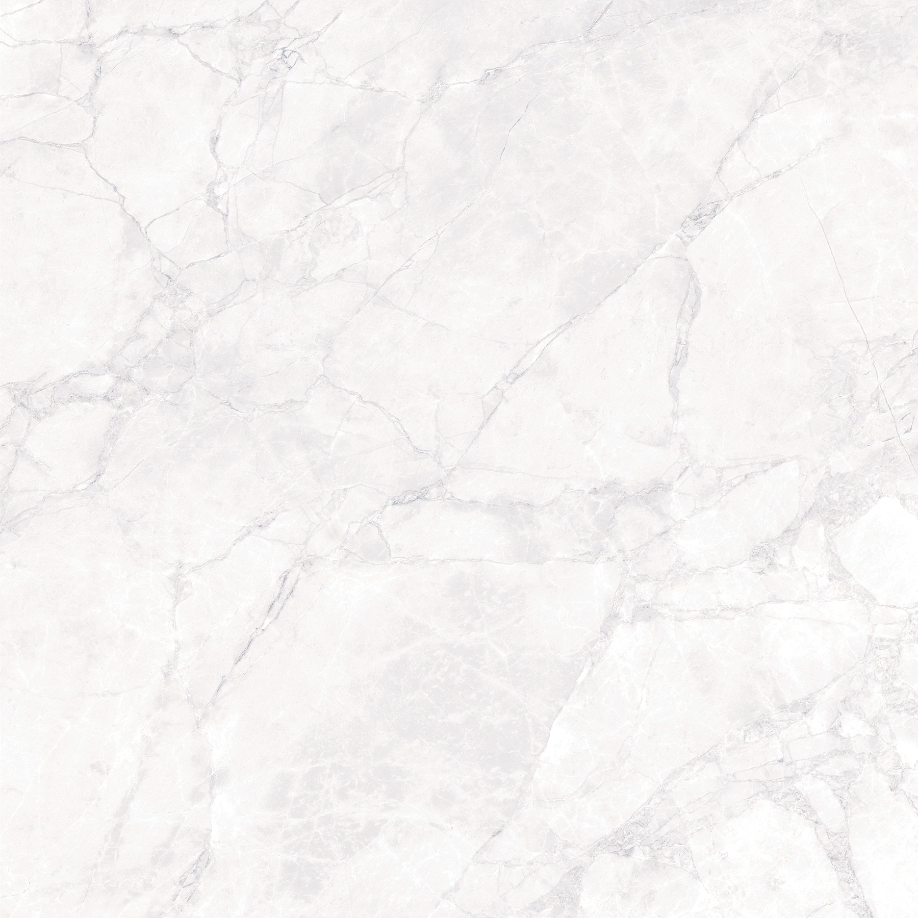 ARCTIC WHITE ARCADIA CERAMICA CR6008-A - Вид №4