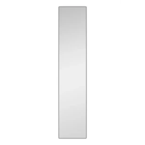 Santreyd: Дверь-зеркало для модульного шкафа Лион в сером цвете 89354589