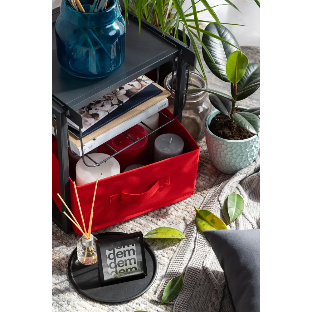 Вставка сетчатая для полки Spaceo KUB Paris 32x17.4x30.8 cм металл цвет черный 82006882 STLM-2067757 - Вид №5