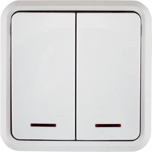 LEXMAN Двухклавишный выключатель с подсветкой для современного интерьера 81930567