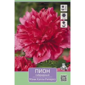 Пион гибридный Мэни Хэппи Ритернз 89452247 STLM-2099423