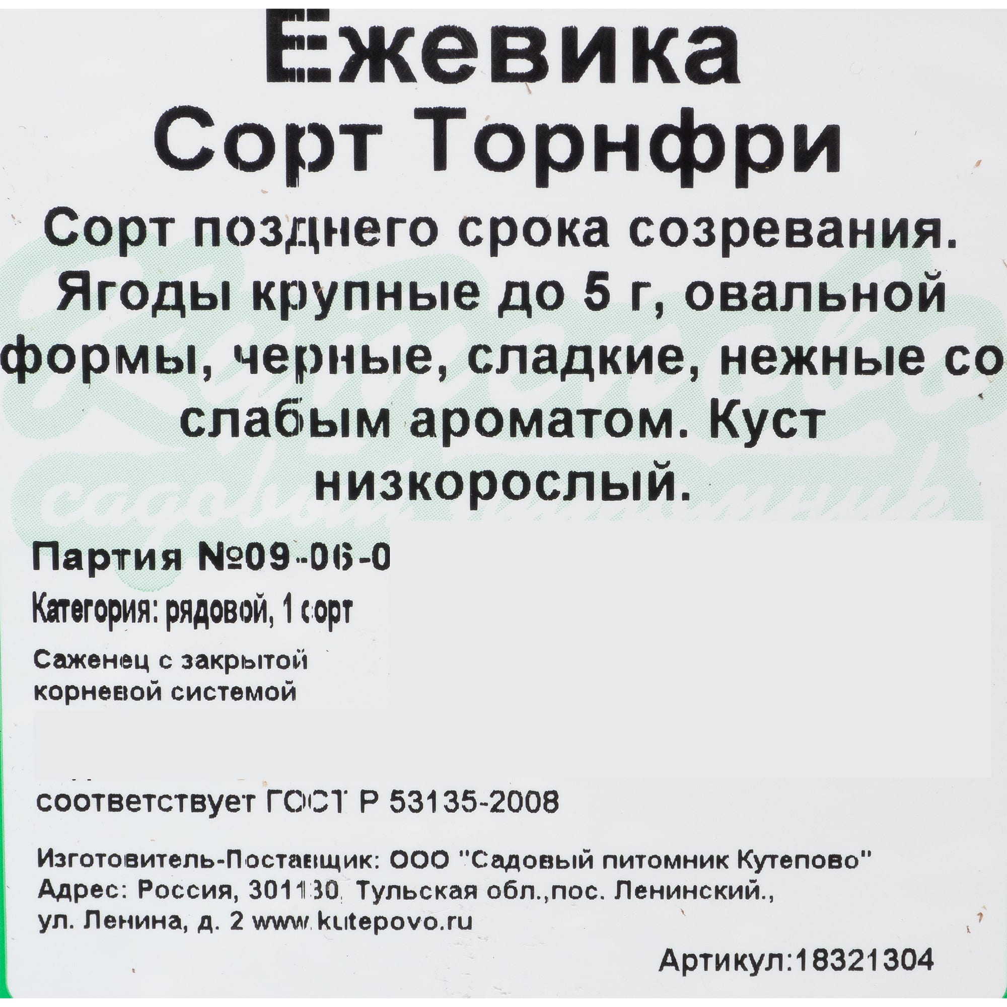 18321304 Ежевика С2, 50 см Santreyd  - Вид №1