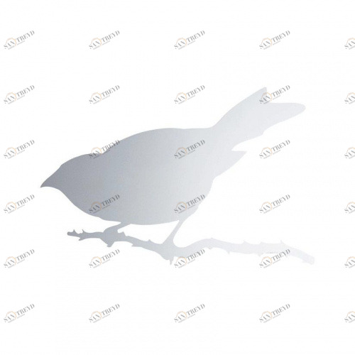 Зеркало / Snijder Bird Driade sun-id-374613