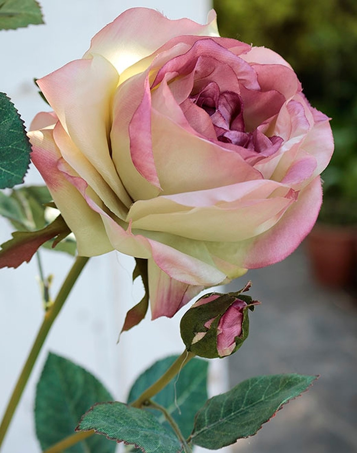 2543 508 a2 Шелковая роза, 1 цветок, 2 бутона, 110 см, розово-зеленая H-andreas 