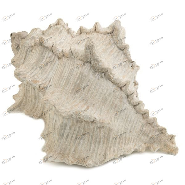 Декор ЛАГУНА UNICO  255467 Бежевый;серый 