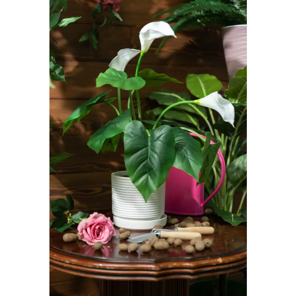 Керамический горшок Santreyd «Лоза» белый для комнатных растений 82278870 STLM-0023894 - Вид №2